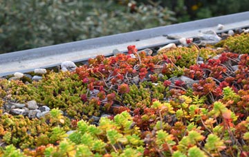 the cost of Howt Green green roof installation